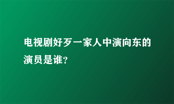 电视剧好歹一家人中演向东的演员是谁？