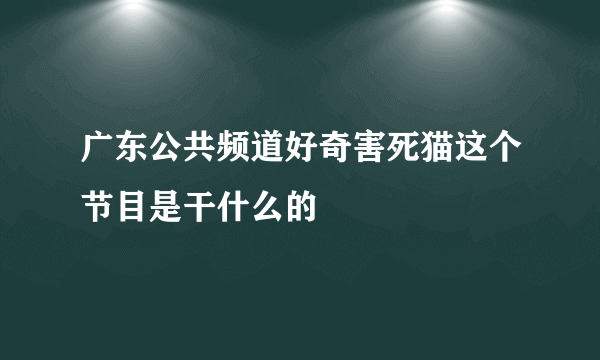 广东公共频道好奇害死猫这个节目是干什么的