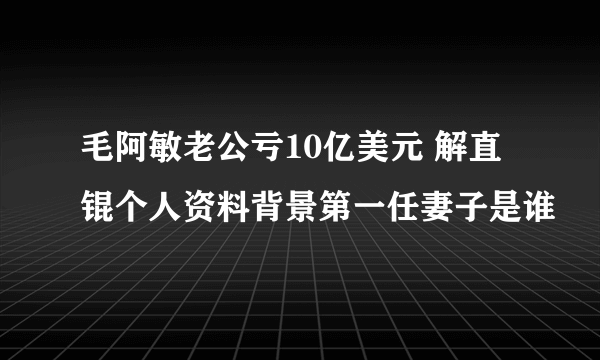 毛阿敏老公亏10亿美元 解直锟个人资料背景第一任妻子是谁