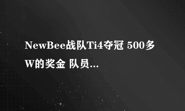 NewBee战队Ti4夺冠 500多W的奖金 队员能分配到多少