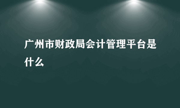 广州市财政局会计管理平台是什么