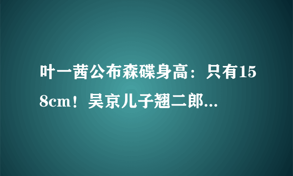 叶一茜公布森碟身高：只有158cm！吴京儿子翘二郎腿看电视引爆笑