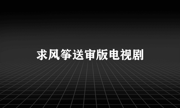 求风筝送审版电视剧