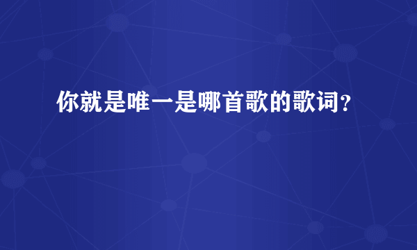 你就是唯一是哪首歌的歌词？