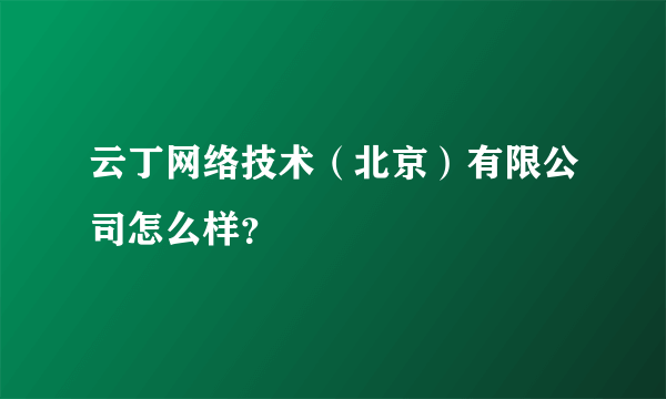 云丁网络技术（北京）有限公司怎么样？