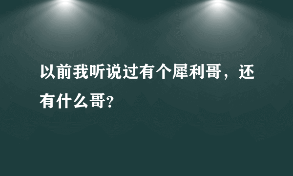 以前我听说过有个犀利哥，还有什么哥？