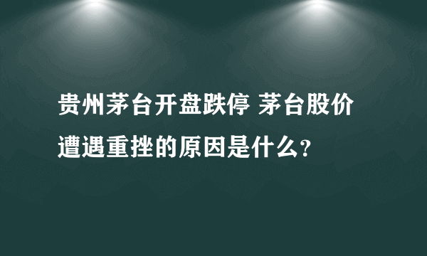 贵州茅台开盘跌停 茅台股价遭遇重挫的原因是什么？