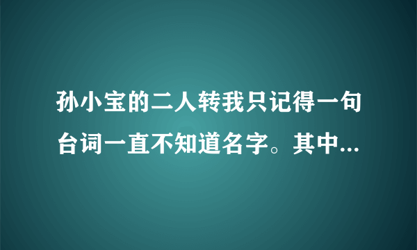 孙小宝的二人转我只记得一句台词一直不知道名字。其中有一句是为娘要是抛下你老脸还要不要。为娘要是抛下