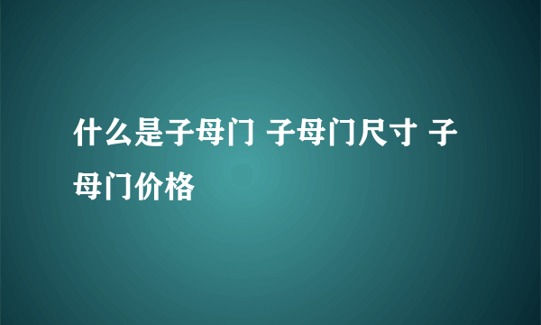 什么是子母门 子母门尺寸 子母门价格