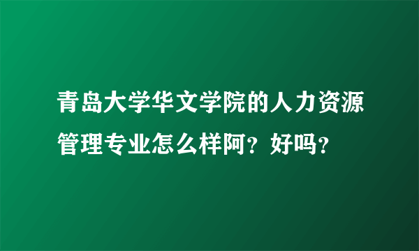 青岛大学华文学院的人力资源管理专业怎么样阿？好吗？