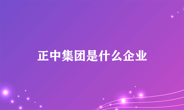 正中集团是什么企业