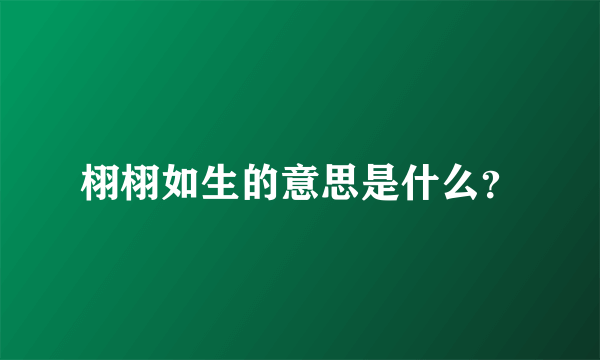 栩栩如生的意思是什么？