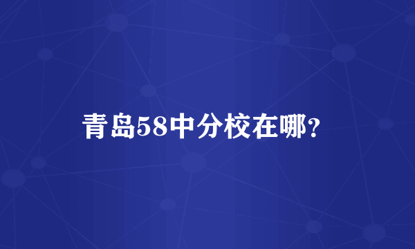 青岛58中分校在哪？