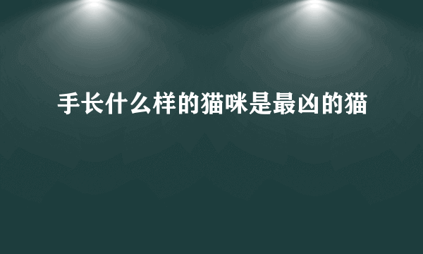 手长什么样的猫咪是最凶的猫