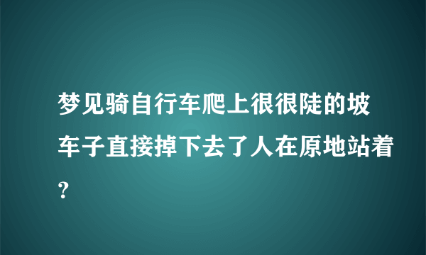 梦见骑自行车爬上很很陡的坡车子直接掉下去了人在原地站着？