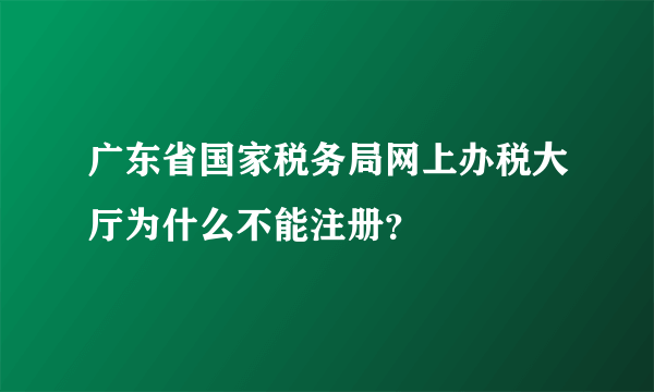 广东省国家税务局网上办税大厅为什么不能注册？