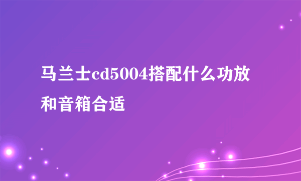 马兰士cd5004搭配什么功放和音箱合适