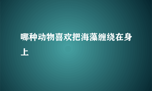 哪种动物喜欢把海藻缠绕在身上