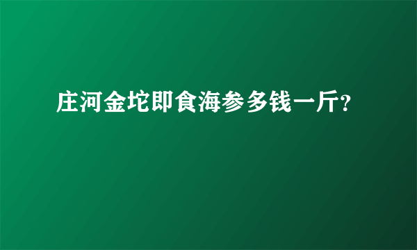 庄河金坨即食海参多钱一斤？