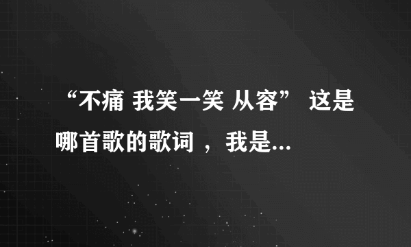 “不痛 我笑一笑 从容” 这是哪首歌的歌词 ，我是在裸婚时代里面听到的