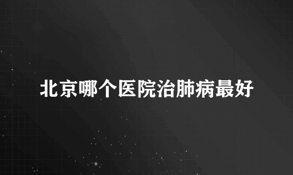 北京哪个医院治肺病最好