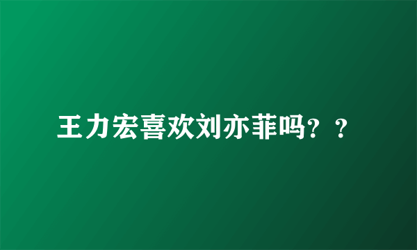 王力宏喜欢刘亦菲吗？？