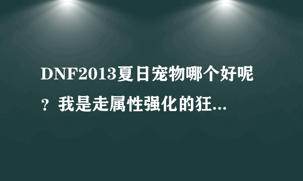 DNF2013夏日宠物哪个好呢？我是走属性强化的狂战，我该如何选择啊