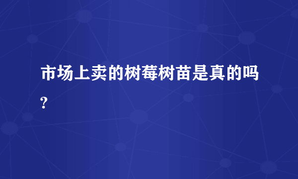 市场上卖的树莓树苗是真的吗?