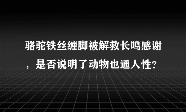 骆驼铁丝缠脚被解救长鸣感谢，是否说明了动物也通人性？