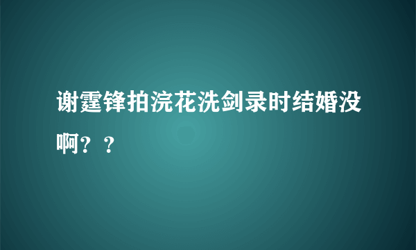 谢霆锋拍浣花洗剑录时结婚没啊？？