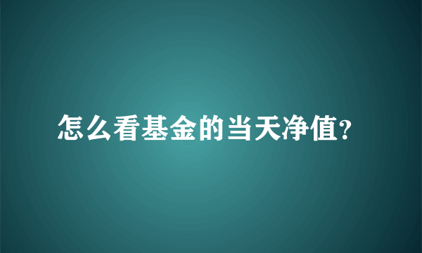 怎么看基金的当天净值？