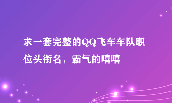 求一套完整的QQ飞车车队职位头衔名，霸气的嘻嘻