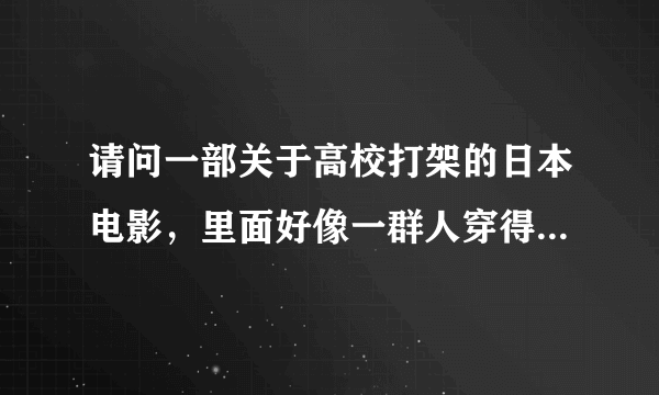 请问一部关于高校打架的日本电影，里面好像一群人穿得白衣服一群人穿黑衣服打群架，不是热血高校？