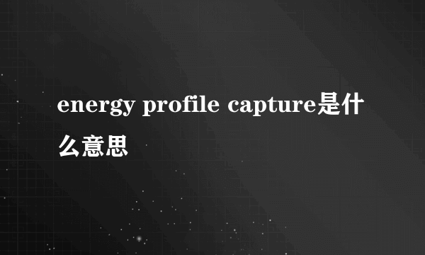 energy profile capture是什么意思