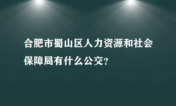 合肥市蜀山区人力资源和社会保障局有什么公交？