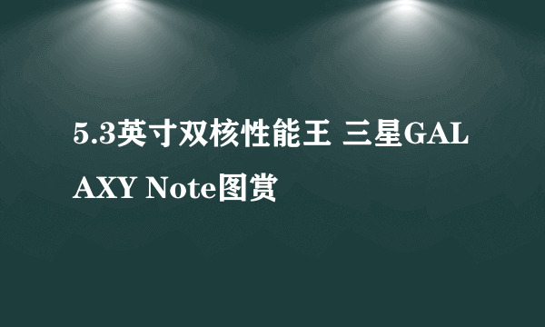 5.3英寸双核性能王 三星GALAXY Note图赏