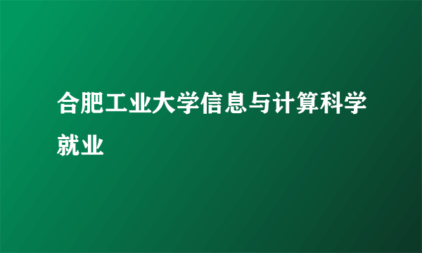 合肥工业大学信息与计算科学就业