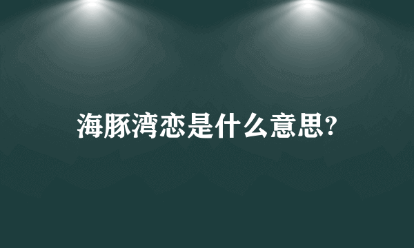 海豚湾恋是什么意思?