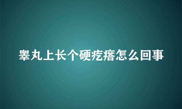 睾丸上长个硬疙瘩怎么回事