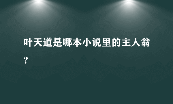 叶天道是哪本小说里的主人翁？