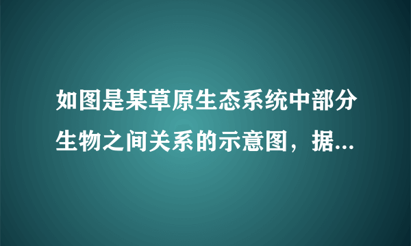 如图是某草原生态系统中部分生物之间关系的示意图，据图回答下列问题。（1）依据生态系统的组成成分划分，草食昆虫属于 ______者。（2）写出图中最短的一条食物链 ______。（3）如果在该生态系统中喷洒杀虫剂，受害最大的是 ______。（4）在这个生态系统中，各种生物的数量和所占比例总量维持在相对稳定的状态，说明生态系统有一定的 ______，但这种能力是有一定限度的。（5）图中蛇和猫头鹰之间的关系是 ______。