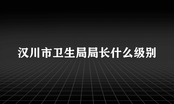 汉川市卫生局局长什么级别