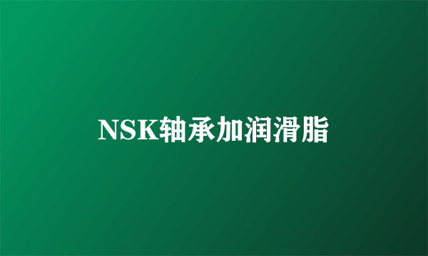 NSK轴承加润滑脂