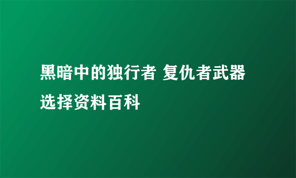 黑暗中的独行者 复仇者武器选择资料百科