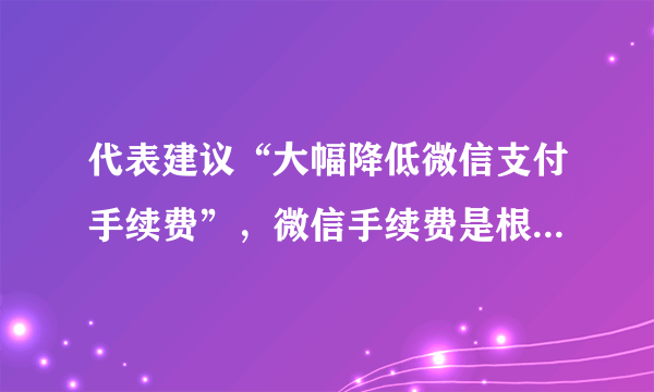 代表建议“大幅降低微信支付手续费”，微信手续费是根据什么标准收取的？