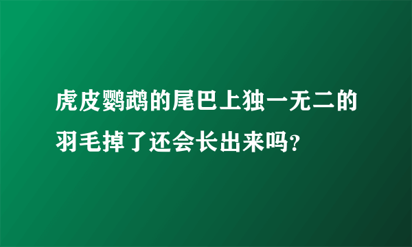 虎皮鹦鹉的尾巴上独一无二的羽毛掉了还会长出来吗？