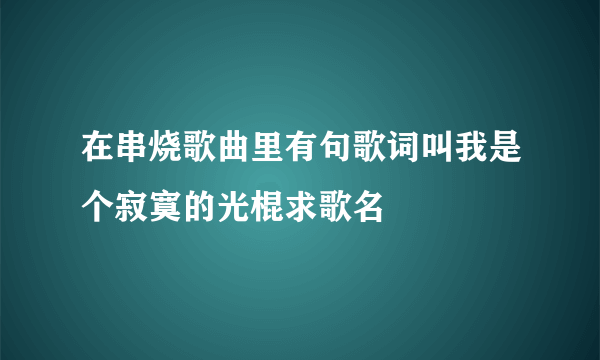 在串烧歌曲里有句歌词叫我是个寂寞的光棍求歌名