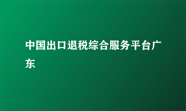 中国出口退税综合服务平台广东