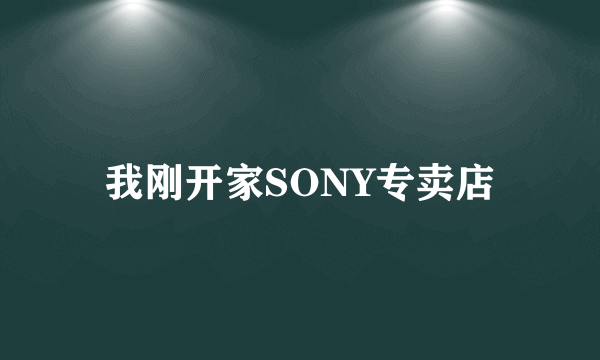 我刚开家SONY专卖店