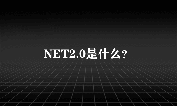 NET2.0是什么？